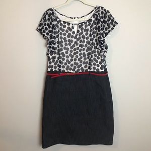 Dress barn flutter sleeve dotted dress size 16